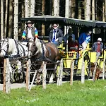 Alpenhof Ξενοδοχείο 3*