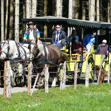 Alpenhof Hotel 3*