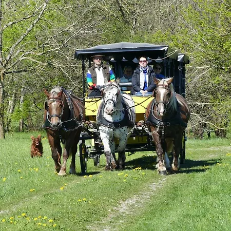 Alpenhof 3*