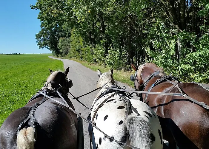 Hotel Alpenhof Bad Wörishofen