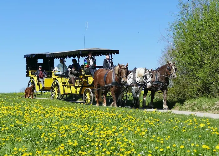 Alpenhof 3* Bad Wörishofen